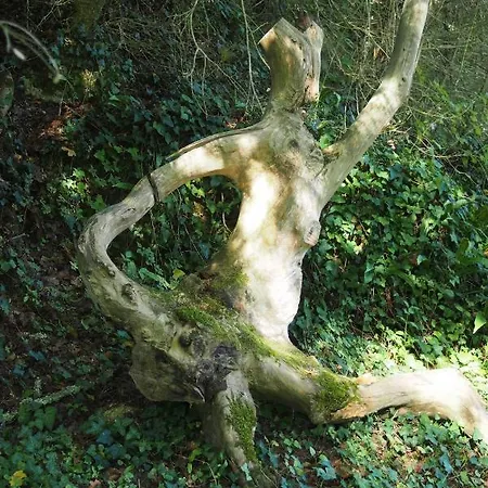 ベッド・アンド・ブレックファスト Hameau De La Brousse *